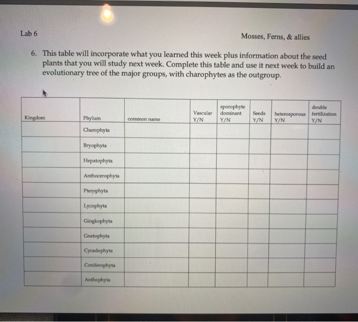 Solved Lab 6 Mosses, Ferns, & allies 6. This table will | Chegg.com