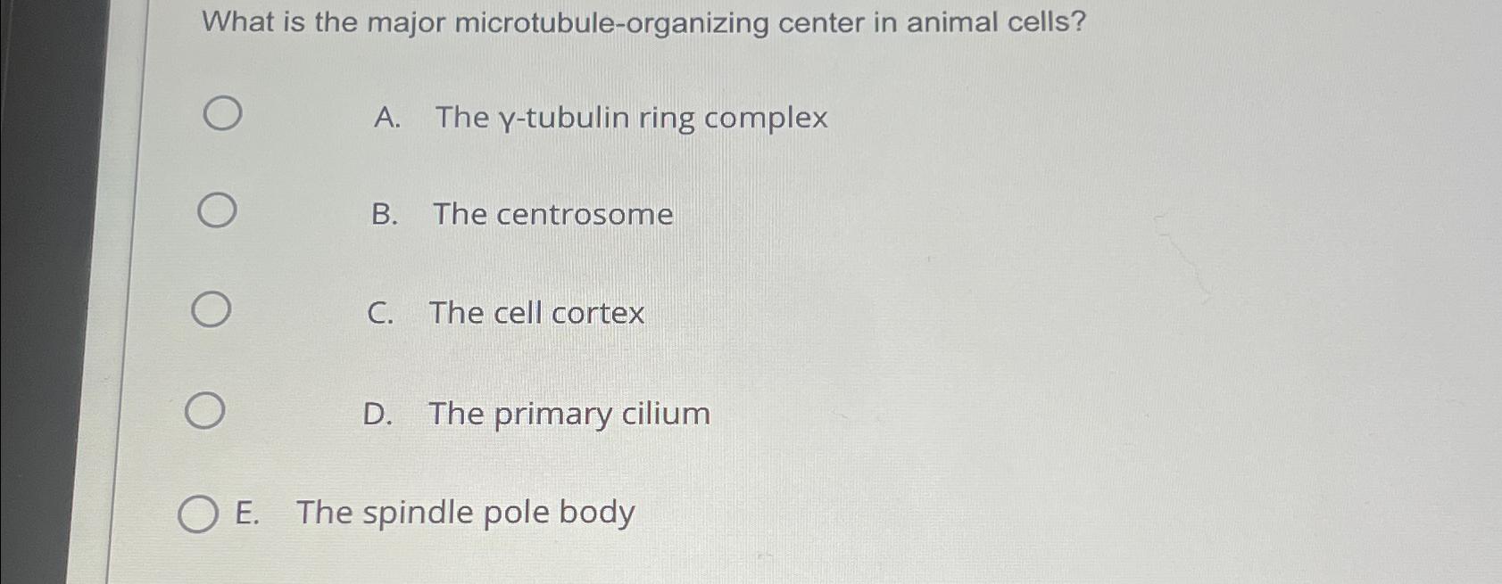 Solved What is the major center in