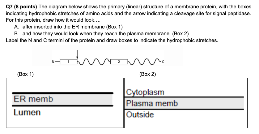 Solved Q7 (8 ﻿points) ﻿The diagram below shows the primary | Chegg.com