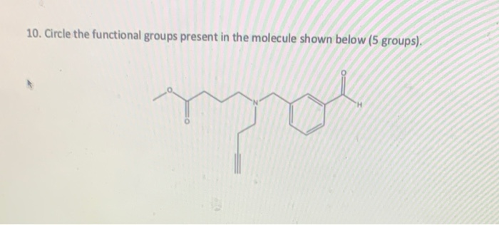 Solved 10. Circle the functional groups present in the | Chegg.com