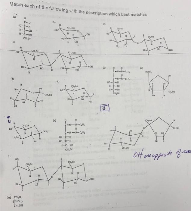 Solved Match each of the following with the description | Chegg.com