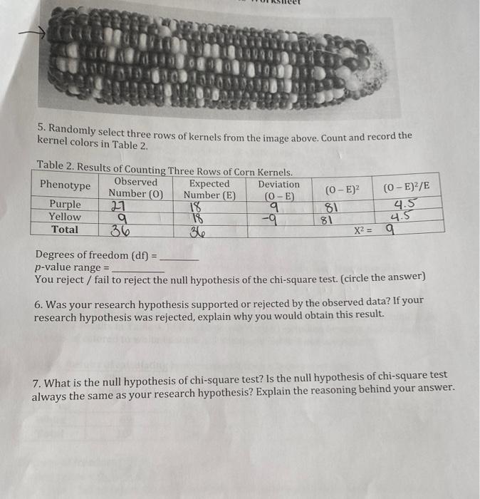 solved-02-5-randomly-select-three-rows-of-kernels-from-the-chegg