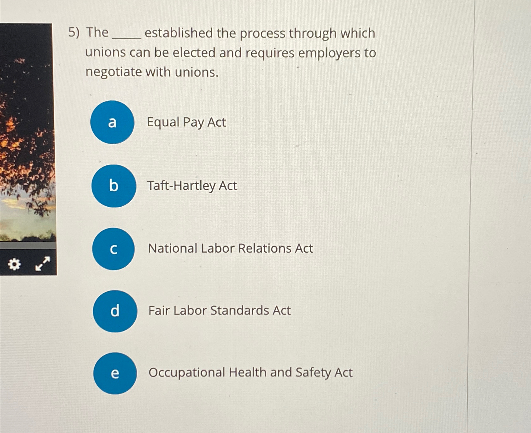 Solved The established the process through which unions can | Chegg.com