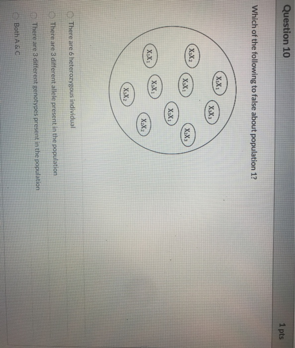 Solved Question 1 1 pts When an individual possesses two | Chegg.com