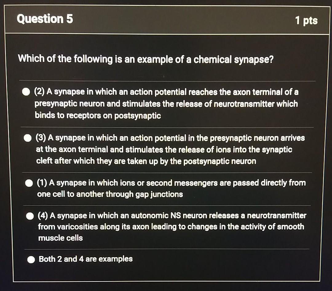 Solved Question 5 1 Pts Which Of The Following Is An Exam Chegg Com