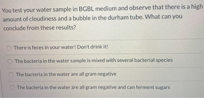 Solved You test your water sample in BGBL medium and observe | Chegg.com