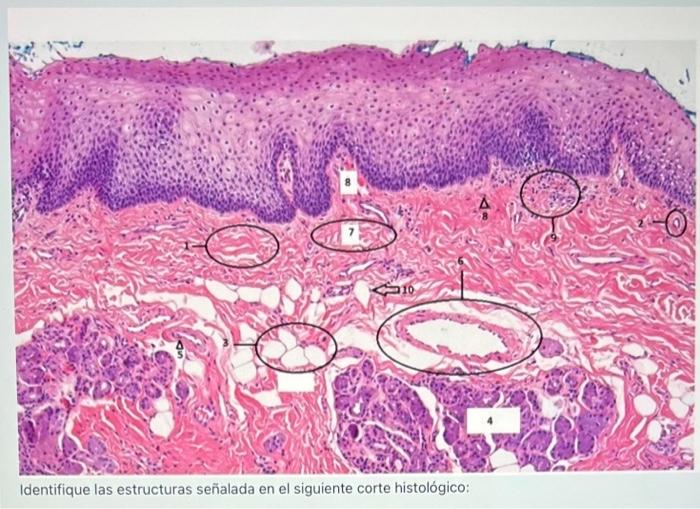 student submitted image, transcription available below