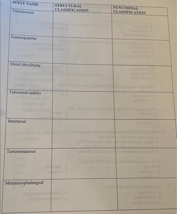 Solved Joint Structure And Function Joint Name Structural Chegg