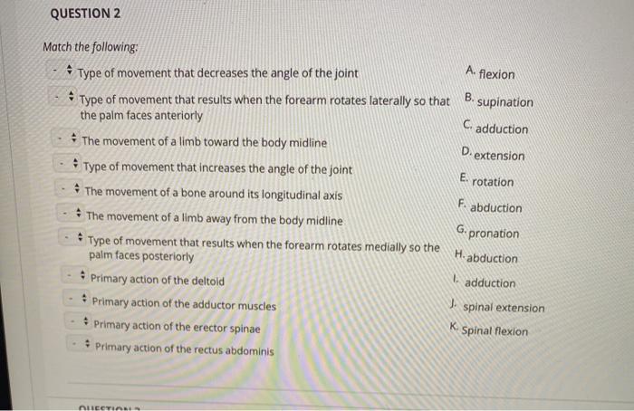 Pronation-supination movement angle.