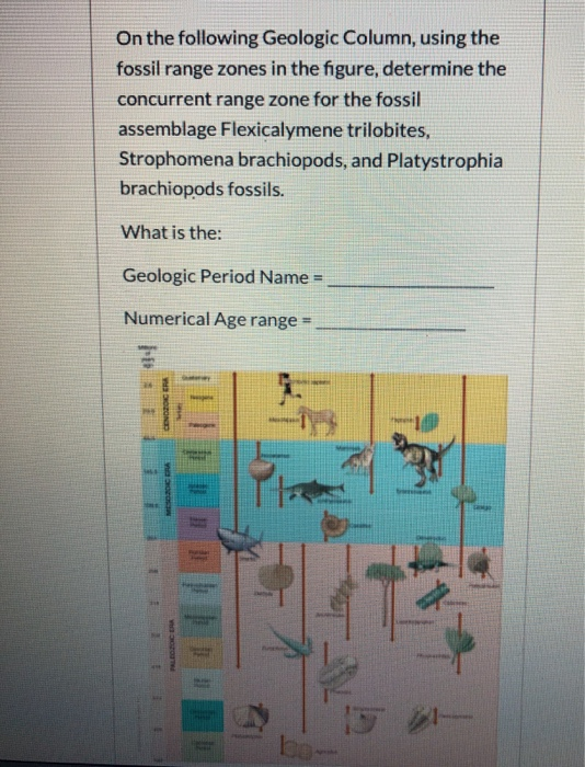Solved On the following Geologic Column, using the fossil