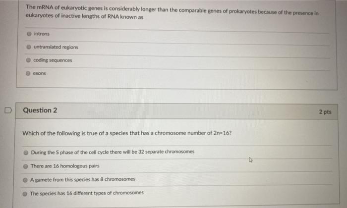 Solved The mRNA of eukaryotic genes is considerably longer | Chegg.com