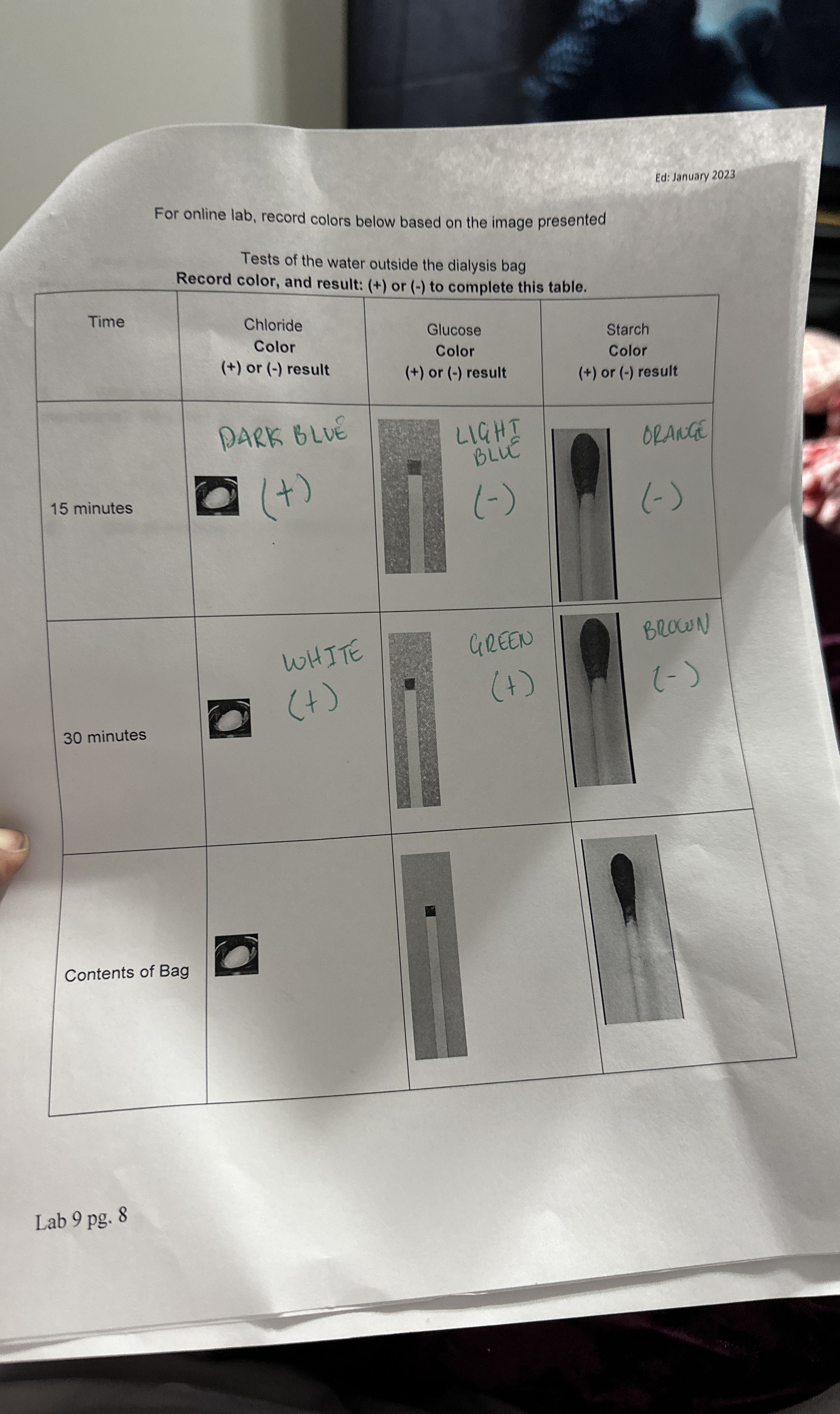 For online lab, record colors below based on the