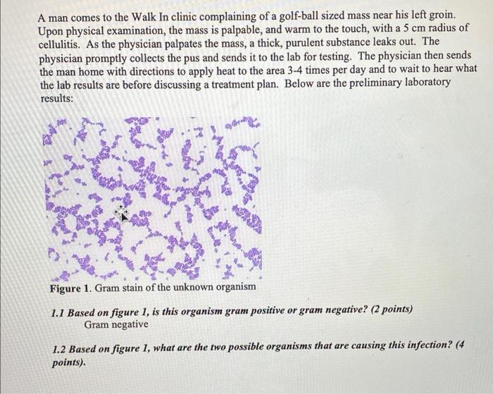A man comes to the Walk In clinic complaining of a golf-ball sized mass near his left groin.
Upon physical examination, the m