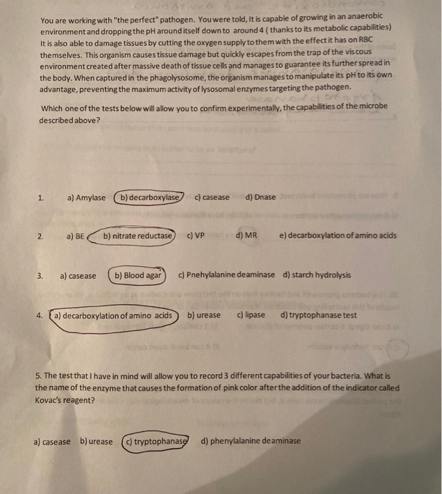 Solved You are working with 