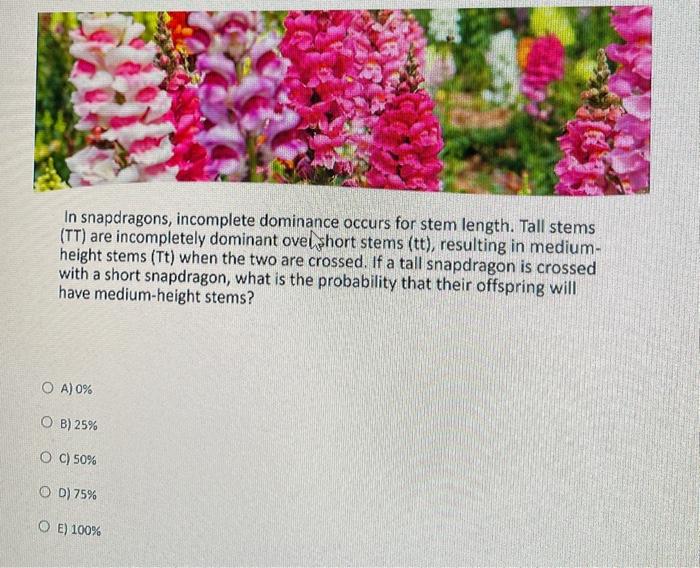 Solved In snapdragons, dominance occurs for stem