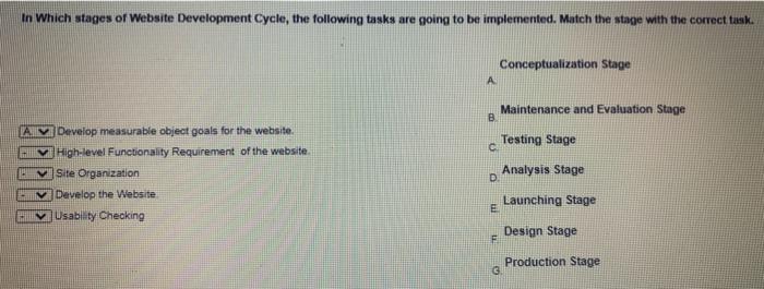 Solved In Which Stages Of Website Development Cycle, The | Chegg.com