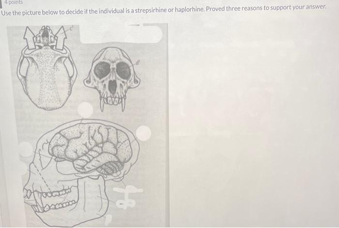 Jse the picture below to decide if the individual is | Chegg.com
