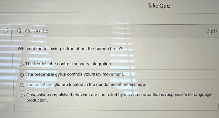 Solved Which of the following is true about the human brain? | Chegg.com