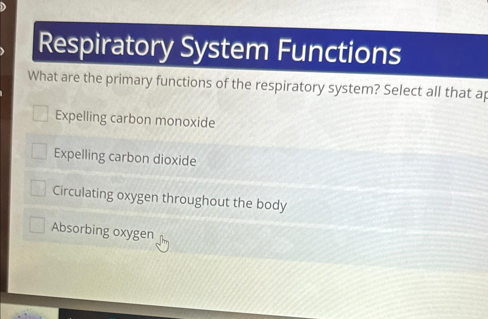 Solved Respiratory System FunctionsWhat are the primary | Chegg.com