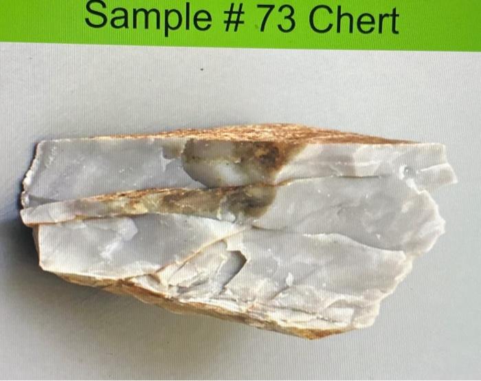 Solved Step 3 Use the igneous rock identification key in