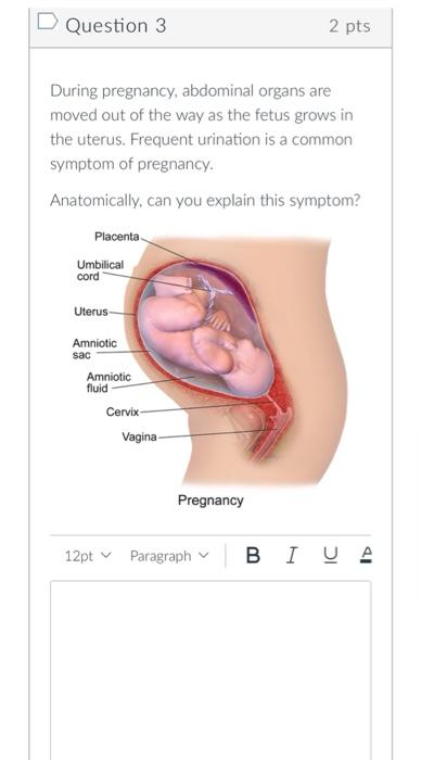 Solved During pregnancy, abdominal organs are moved out of