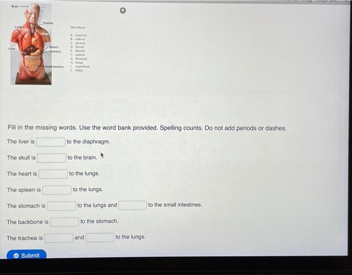 Solved Ng Werden Au We CV 0 M Fill In The Missing Words Chegg