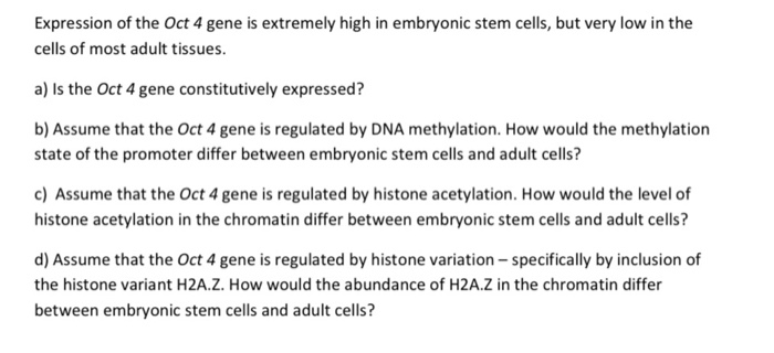 solved expression of the oct 4 gene is
