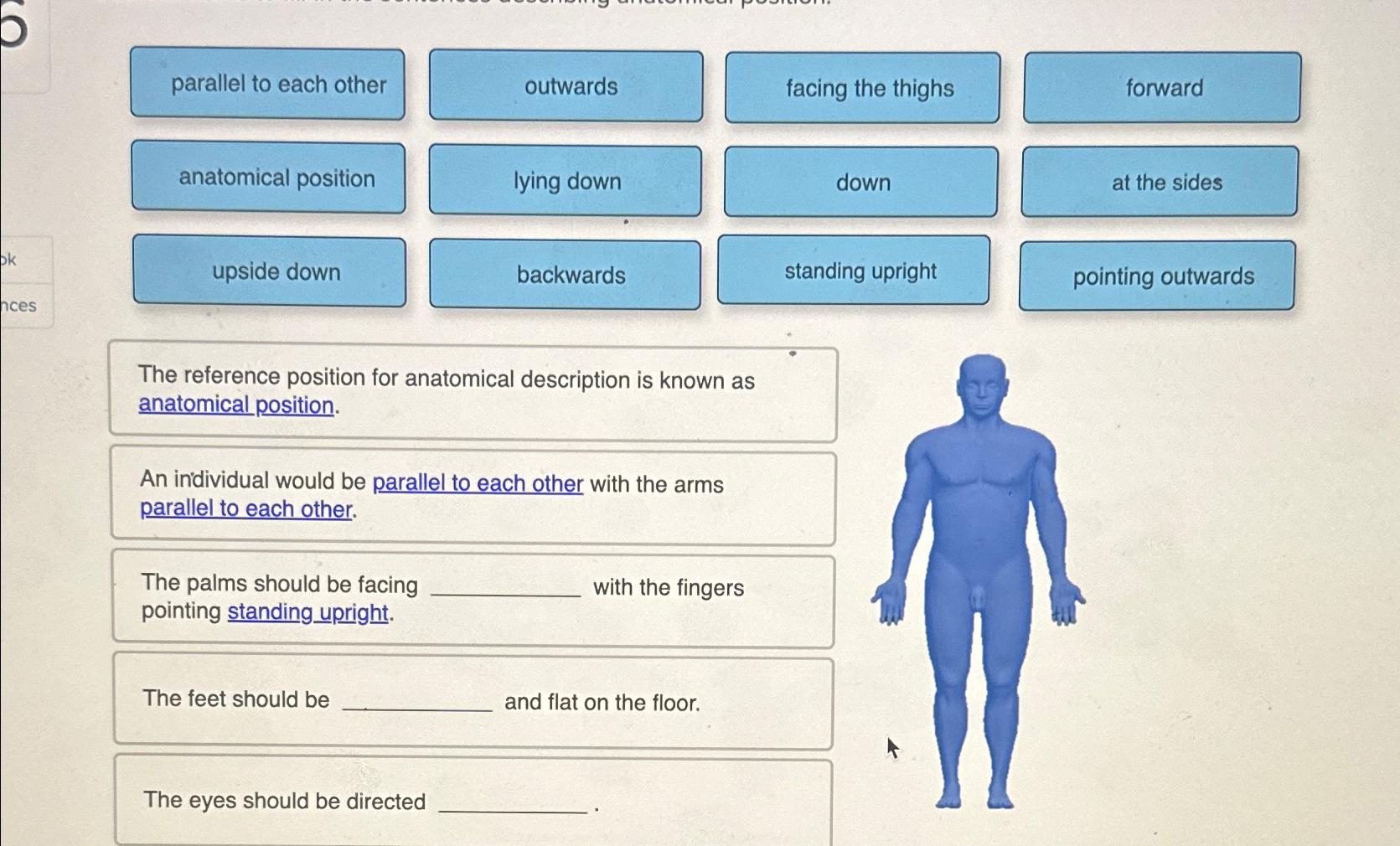 Solved The reference position for anatomical description is Biology Diagrams