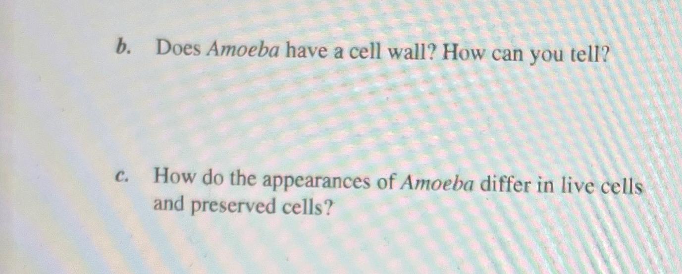 Solved b. ﻿Does Amoeba have a cell wall? How can you tell?c. | Chegg.com