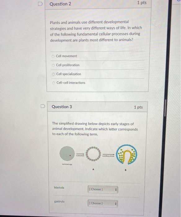 Solved Question 2 1 pts Plants and animals use different | Chegg.com