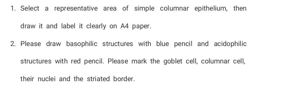 Solved 1. Select a representative area of simple columnar | Chegg.com