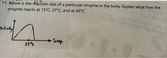 Solved 11. Below is the reaction rate of a particular enzyme | Chegg.com