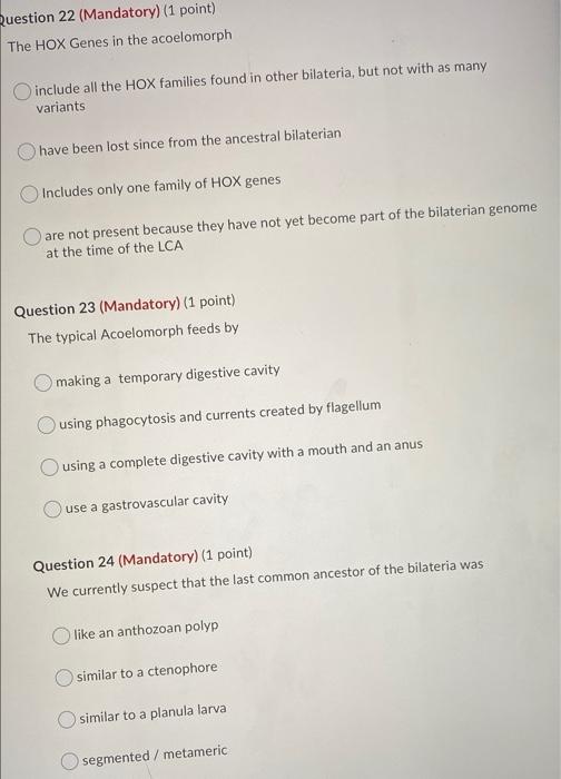 Solved Question 22 (Mandatory) (1 point) The HOX Genes in | Chegg.com