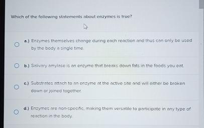 Solved Which of the following statements about enzymes is | Chegg.com