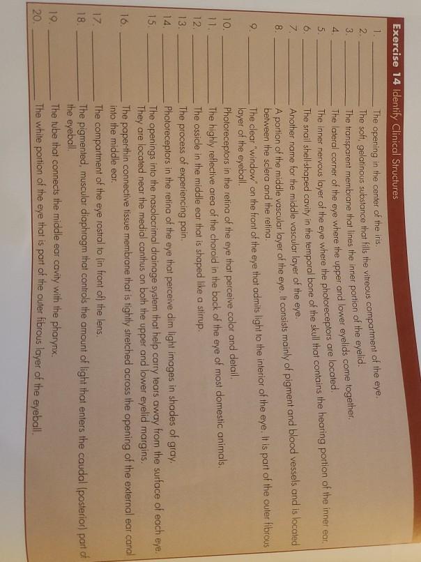 Solved الم The soft, gelatinous substance that fills the