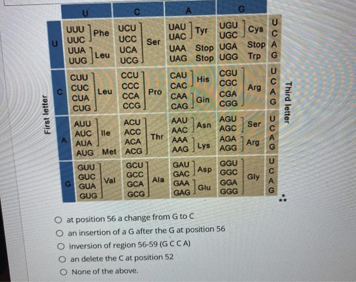Solved AmRNA sequence is shown below. Note that the coding | Chegg.com