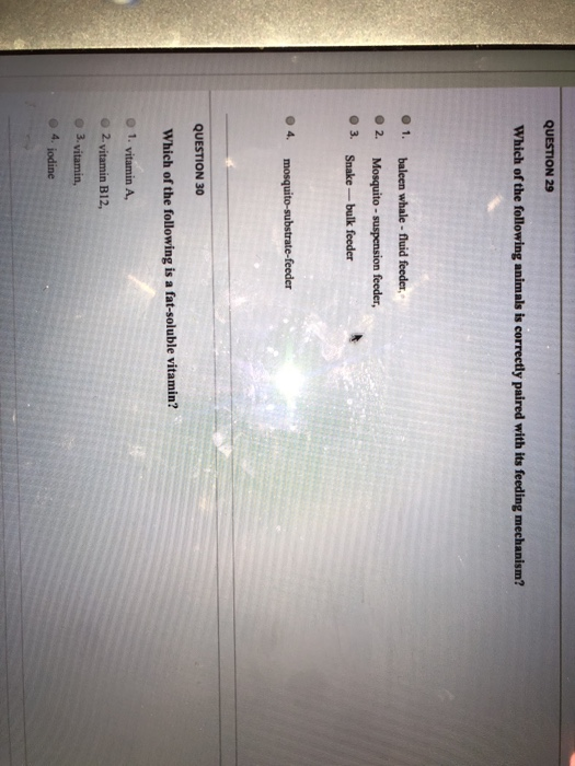 Solved Question 29 Which Of The Following Animals Is Corr