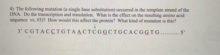 Solved 3) Now translate that mRNA sequence to protein and | Chegg.com