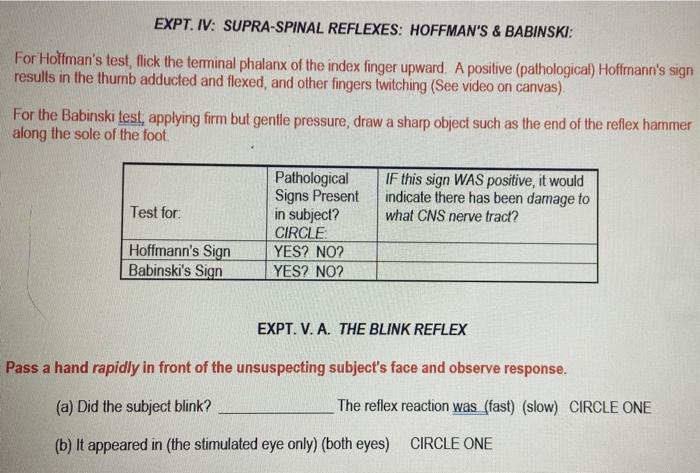 Solved Expt Iv Supra Spinal Reflexes Hoffman S Chegg Com