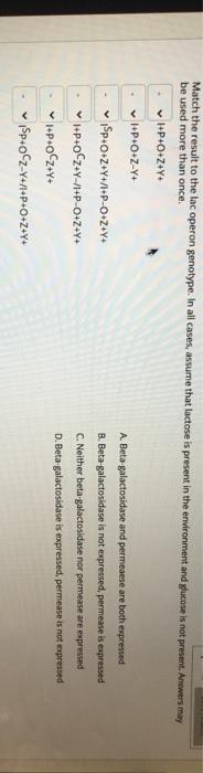 Match The Result To The Lac Operon Genotype In All Chegg Com