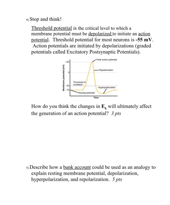 Solved 4) Stop and think! Threshold potential is the | Chegg.com