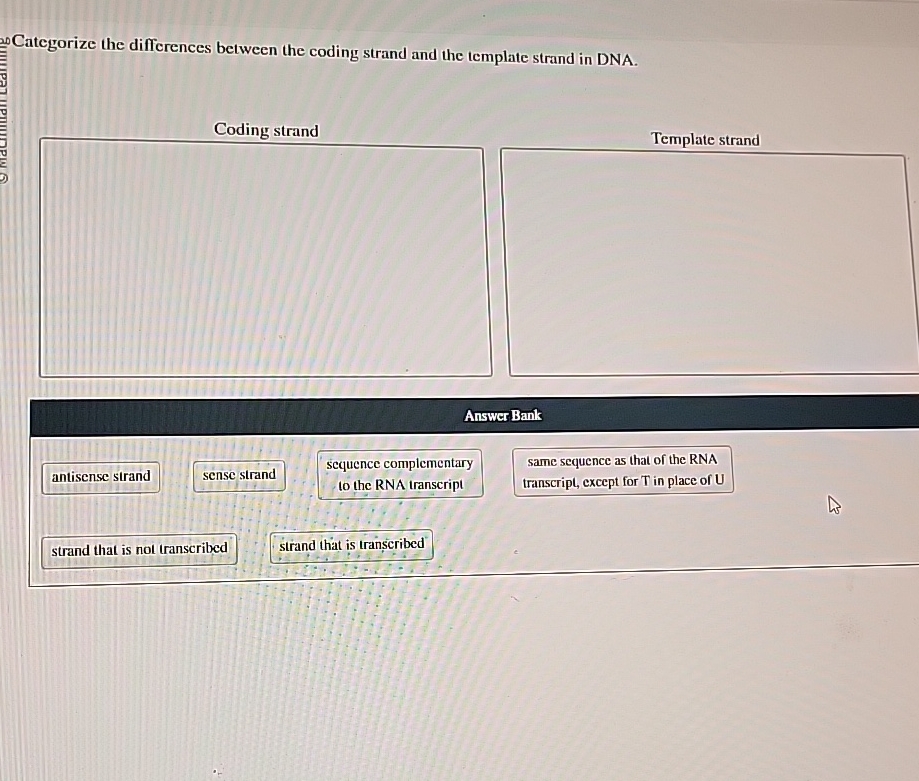 Solved Categorize the differences between the coding strand | Chegg.com