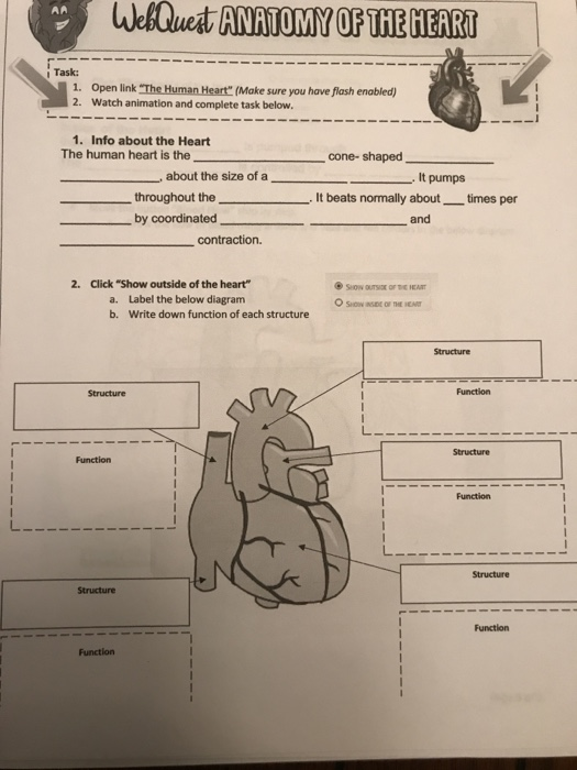 Solved AA WebQuest ANATOMY OF THE HEART Task: 1. Open link 