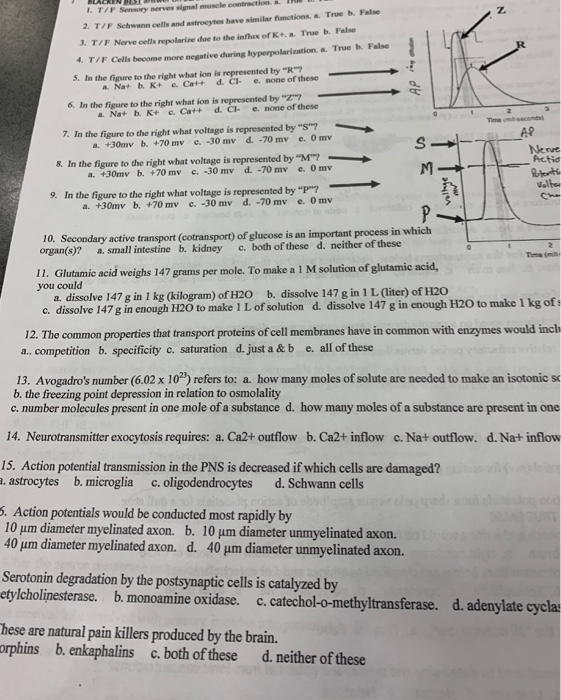 Solved 1 T F Sensory Nerves Signal Muscle Contraction T Chegg Com