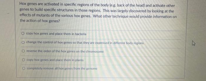 Solved Hox genes are activated in specific regions of the | Chegg.com