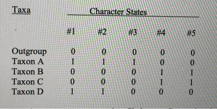 Solved using this information above, build an accurate | Chegg.com