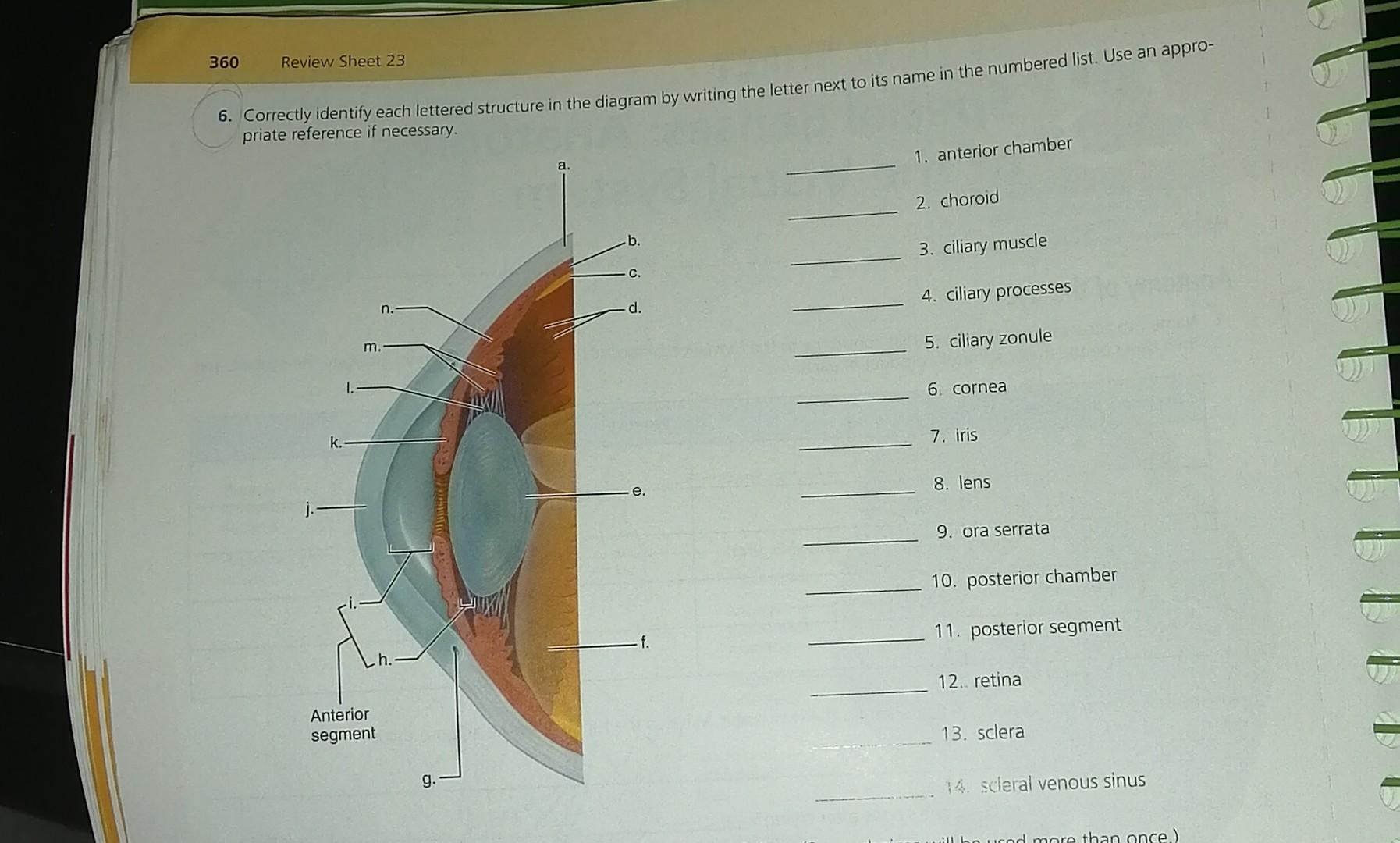 question-360-review-sheet-23-6-correctly-identify-each-lettered-structure-in-the-diagram-by