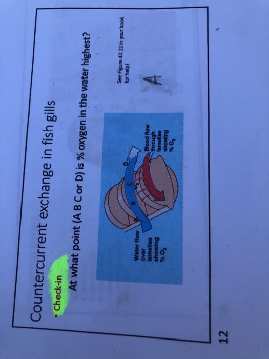 Countercurrent exchange in fish gills Check-in At | Chegg.com