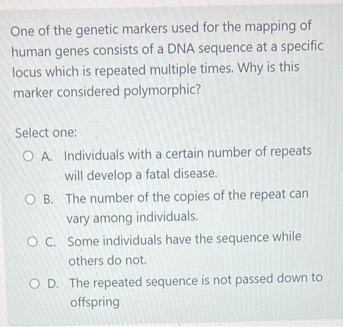 Sequential Number Markers