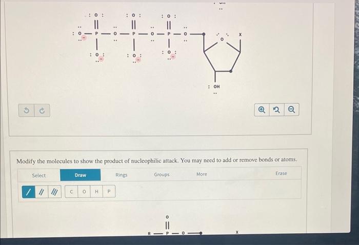 Solved Nucleotides add to the 3' end of a growing DNA chain | Chegg.com